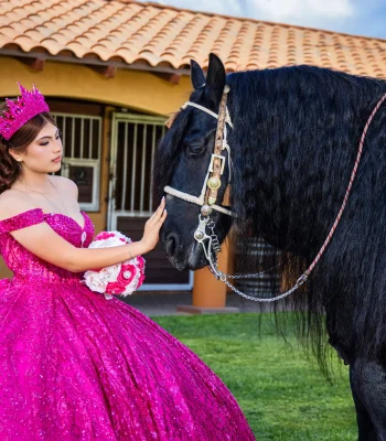 Quinceañera portrait in a fuchsia sequined gown, gently touching a black horse outside a stable