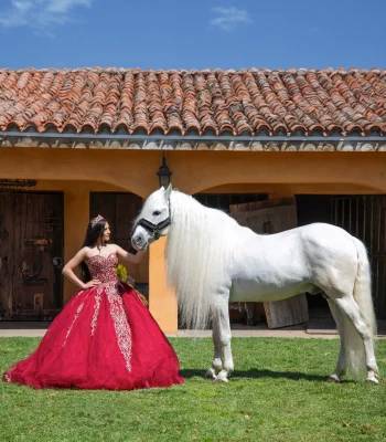Quinceañera portrait in a burgundy embroidered gown, standing beside a white horse outside a Spanish-tile stable