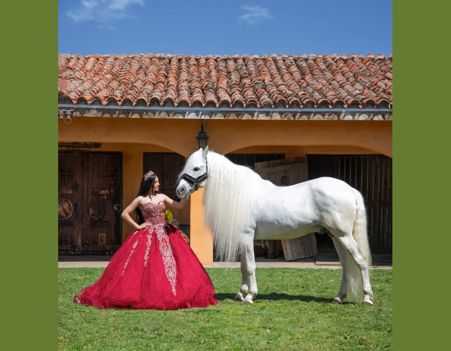Quinceañera portrait in a burgundy embroidered gown, standing beside a white horse outside a Spanish-tile stable
