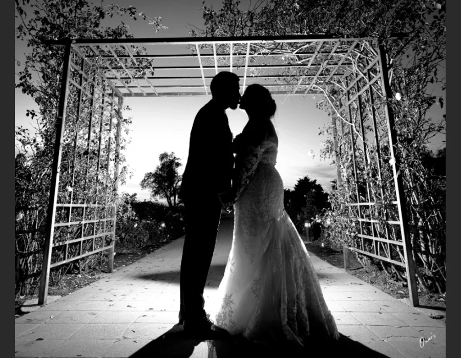 Wedding silhouette under a garden arbor — couple kissing in silhouette under a trellised arbor at sunset